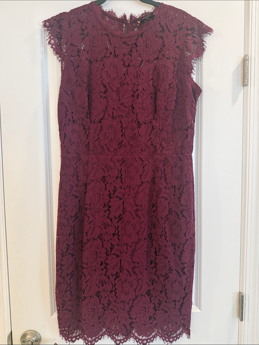Miusol Wine Lace Cap-Sleeve Sheath Dress